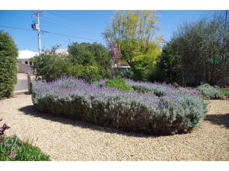 6 Thirteenth Street, Renmark SA 5341