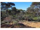 Lot 91 Seekamp Street, Renmark SA 5341