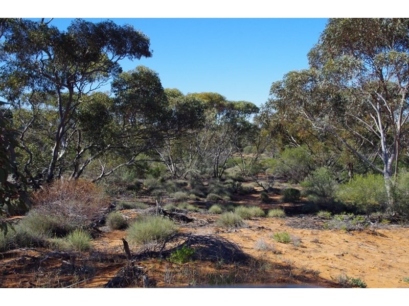 Lot 91 Seekamp Street, Renmark SA 5341