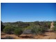 Lot 91 Seekamp Street, Renmark SA 5341
