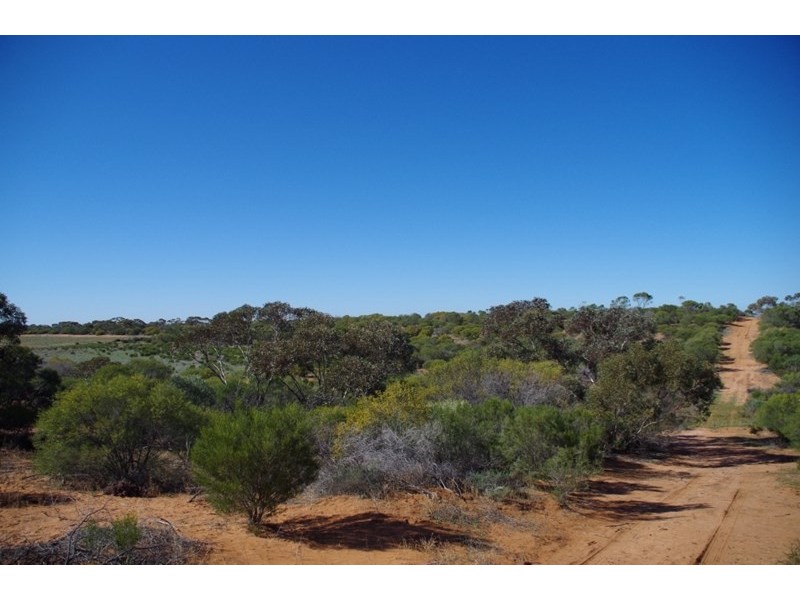 Lot 91 Seekamp Street, Renmark SA 5341