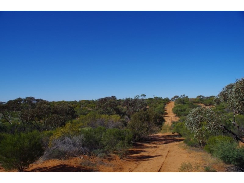 Lot 91 Seekamp Street, Renmark SA 5341