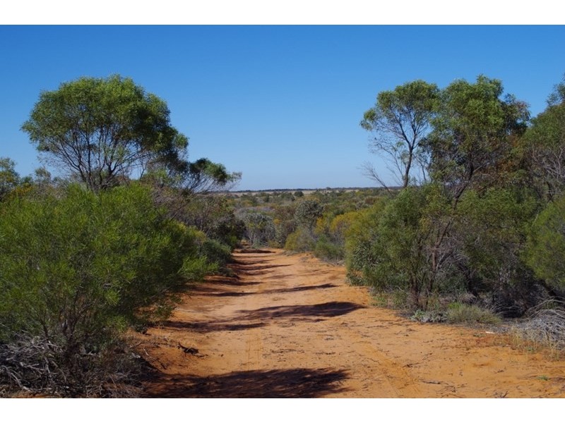 Lot 91 Seekamp Street, Renmark SA 5341