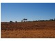 Lot 91 Seekamp Street, Renmark SA 5341