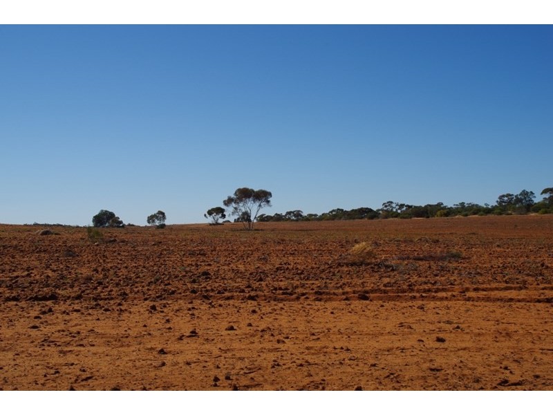 Lot 91 Seekamp Street, Renmark SA 5341
