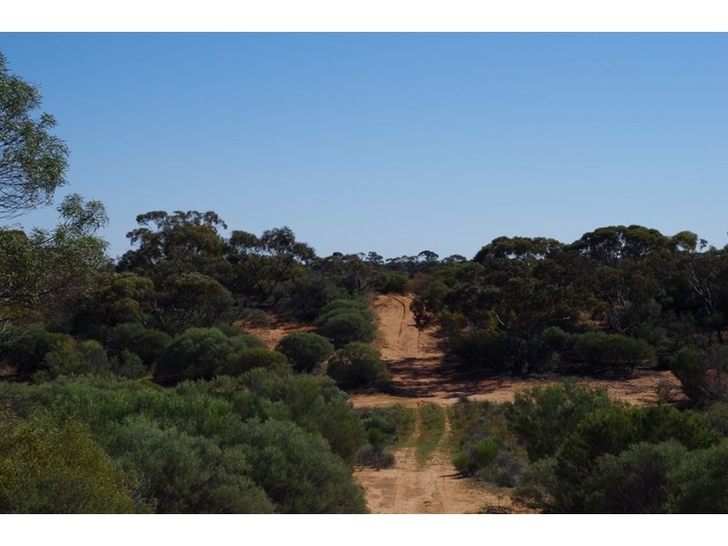 Lot 91 Seekamp Street, Renmark SA 5341
