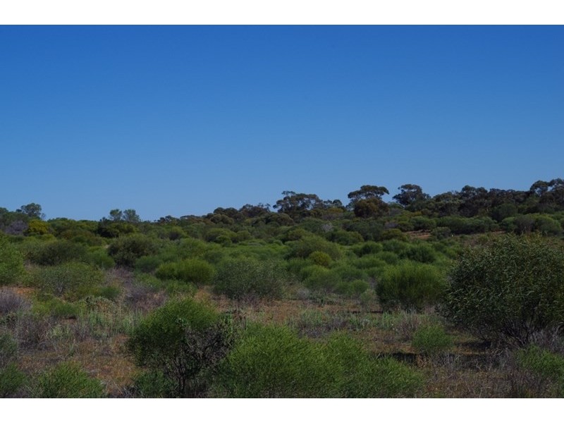 Lot 91 Seekamp Street, Renmark SA 5341