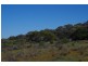 Lot 91 Seekamp Street, Renmark SA 5341