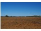 Lot 91 Seekamp Street, Renmark SA 5341