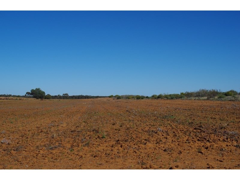 Lot 91 Seekamp Street, Renmark SA 5341