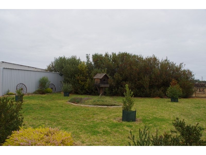 22 Nelbuck Street, Renmark SA 5341