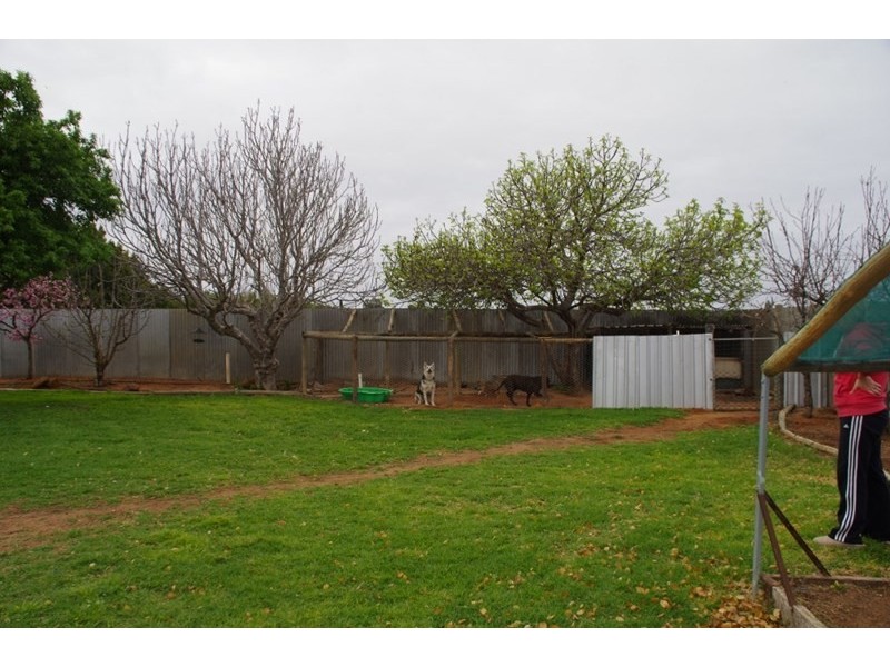 22 Nelbuck Street, Renmark SA 5341