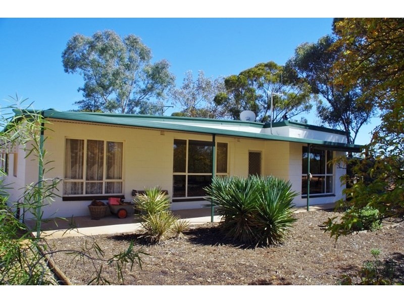 833 Murtho Road, Paringa SA 5340