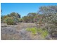 833 Murtho Road, Paringa SA 5340
