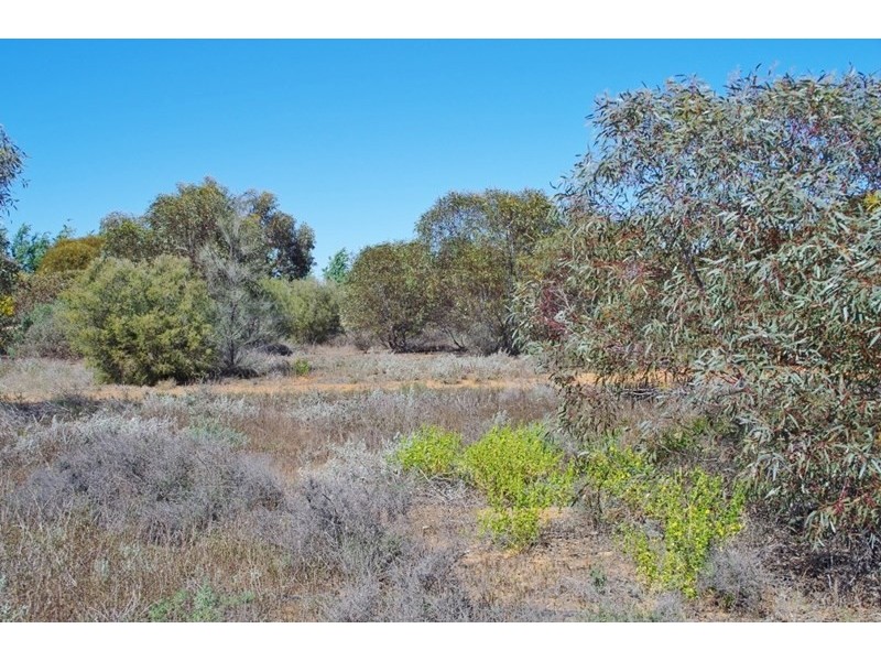 833 Murtho Road, Paringa SA 5340