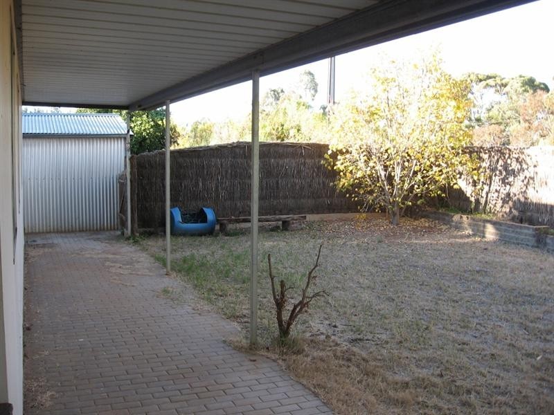 1293 Murtho Road, Paringa SA 5340