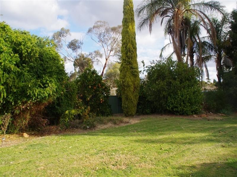 287 Cucumunga Street, Renmark SA 5341