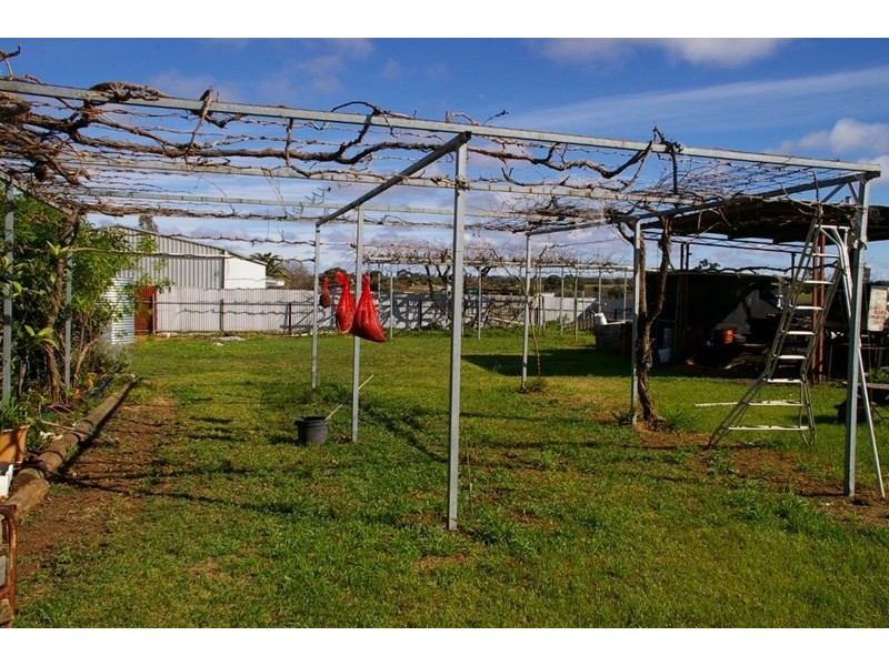 164 Cucumunga Street, Renmark SA 5341