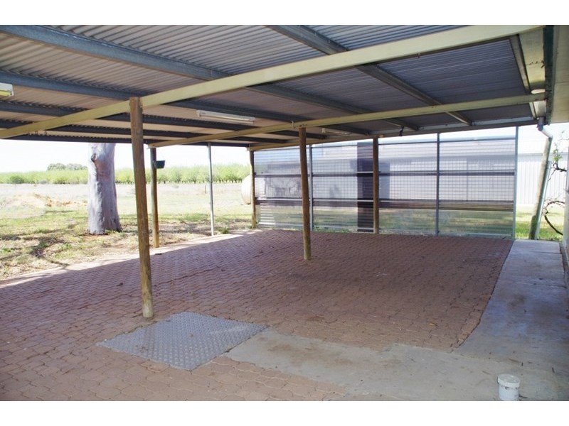 108 Mack Avenue, Renmark SA 5341