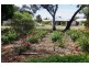 3 Railway Terrace, Renmark SA 5341