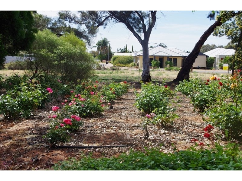 3 Railway Terrace, Renmark SA 5341