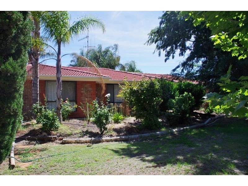 176 Twentyeighth Street, Renmark SA 5341