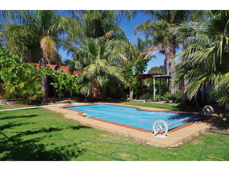 176 Twentyeighth Street, Renmark SA 5341