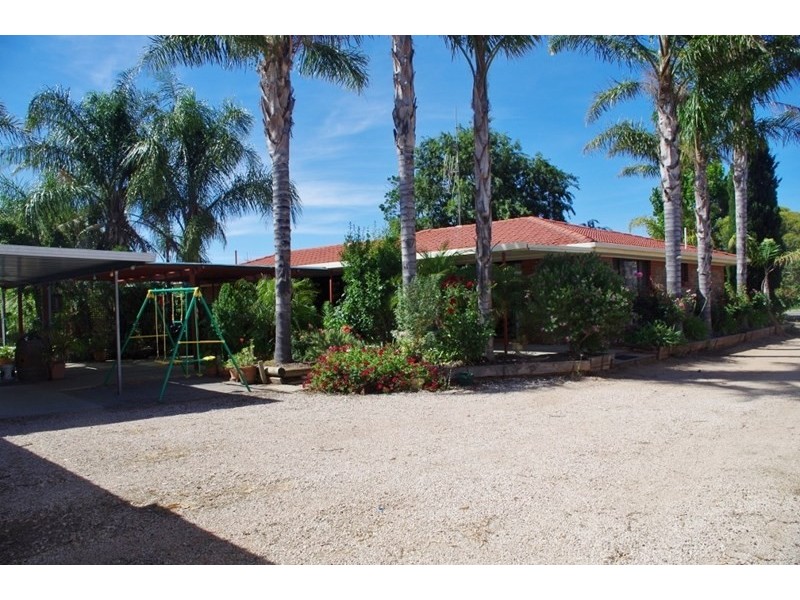 176 Twentyeighth Street, Renmark SA 5341