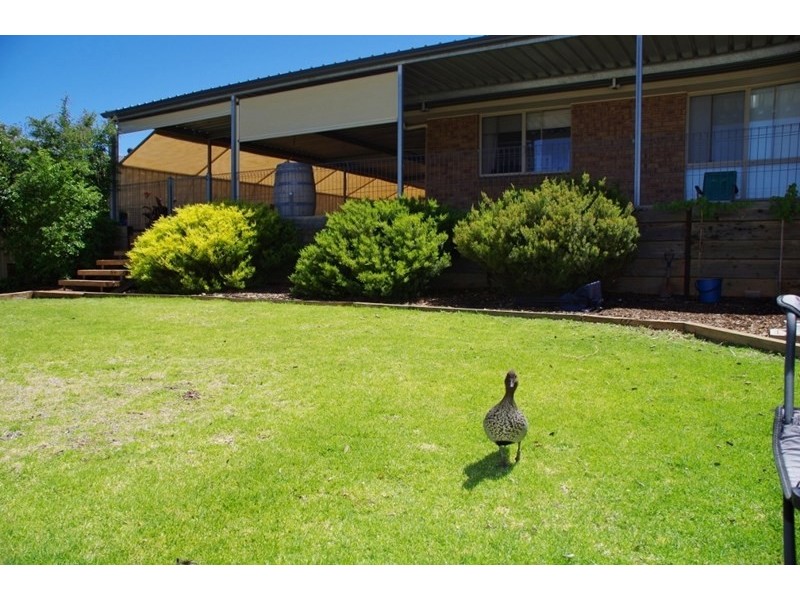 8 Curtis Avenue, Paringa SA 5340