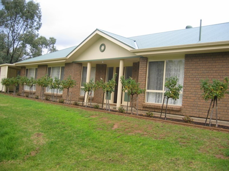 3A Meander Avenue, Renmark SA 5341