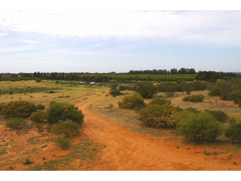 76 Cuttle Street, Renmark SA 5341