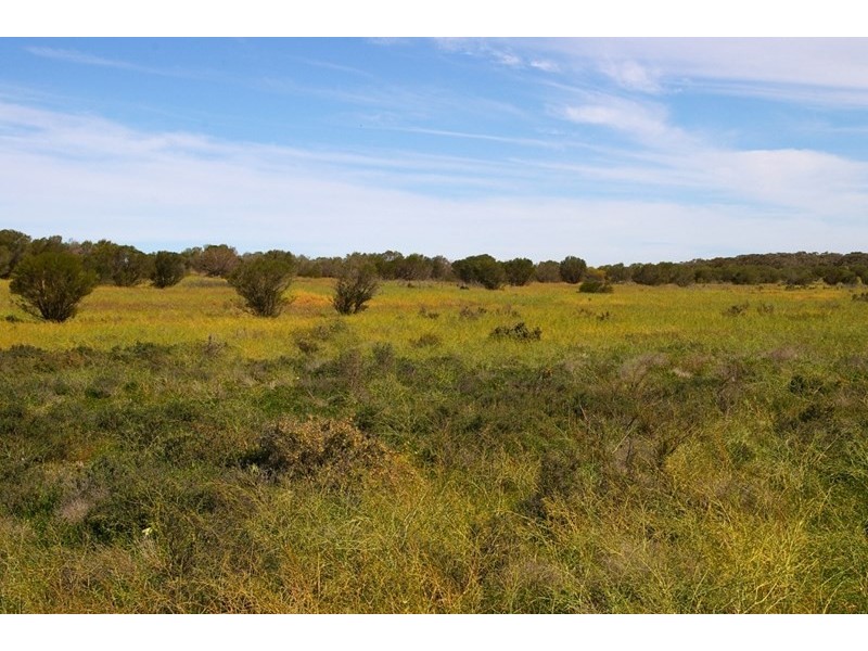 76 Cuttle Street, Renmark SA 5341