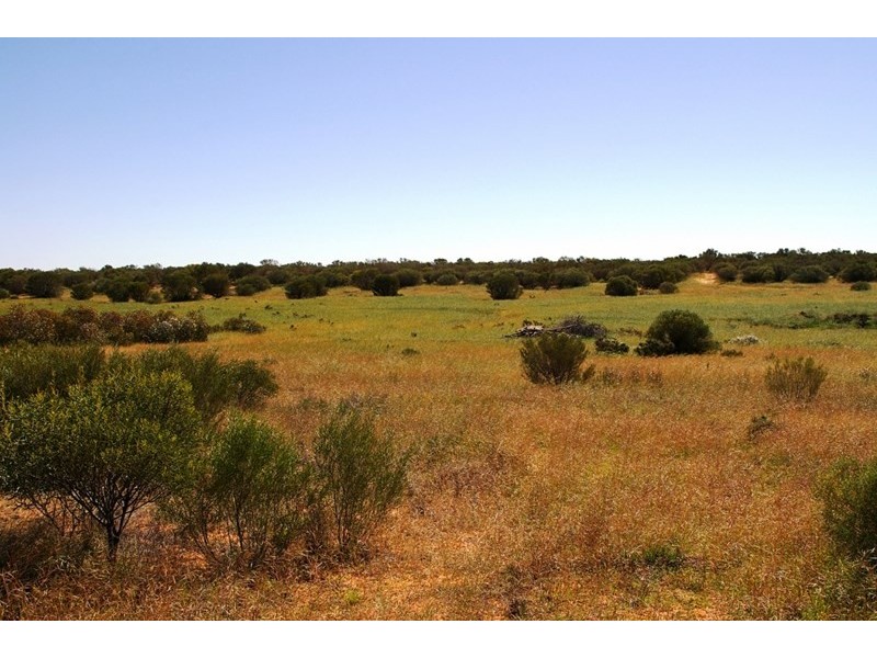 76 Cuttle Street, Renmark SA 5341