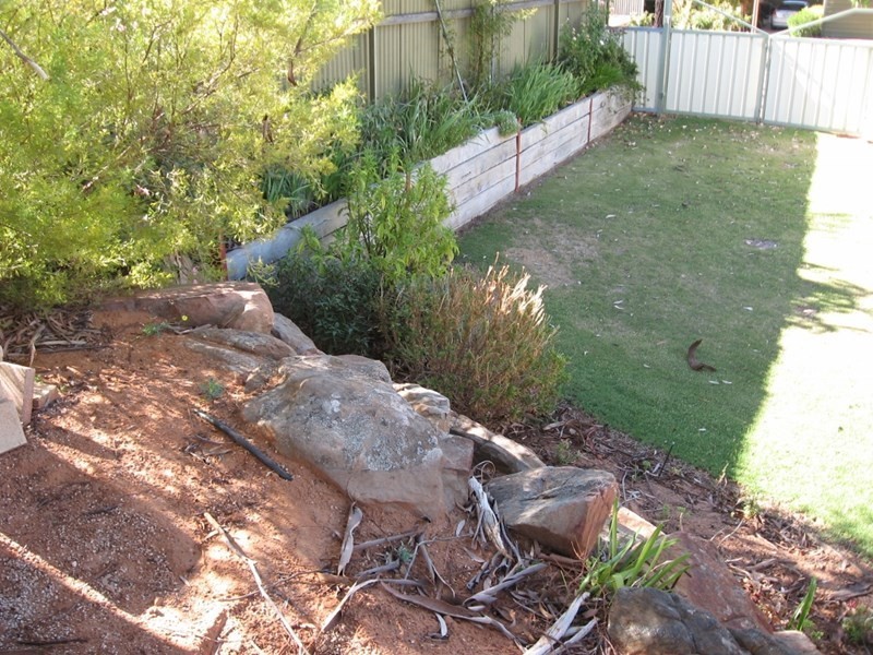 1 Dorothy Avenue, Paringa SA 5340