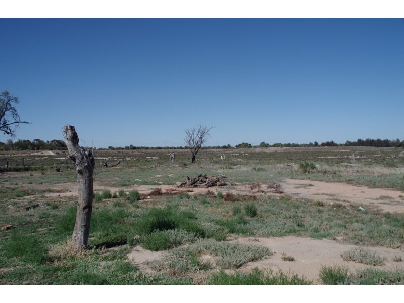 210 Ral Ral Avenue, Renmark SA 5341