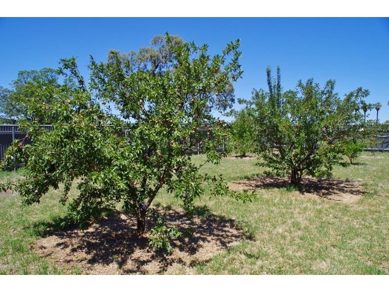 85 Twentythird Street, Renmark SA 5341