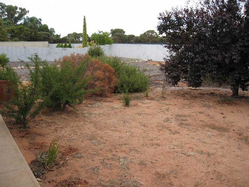 3/66 Cowra Street, Renmark SA 5341