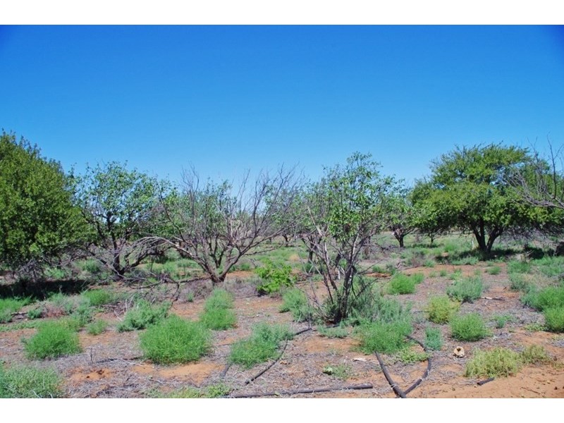 326 Katarapko Cres – Winkie, Berri SA 5343