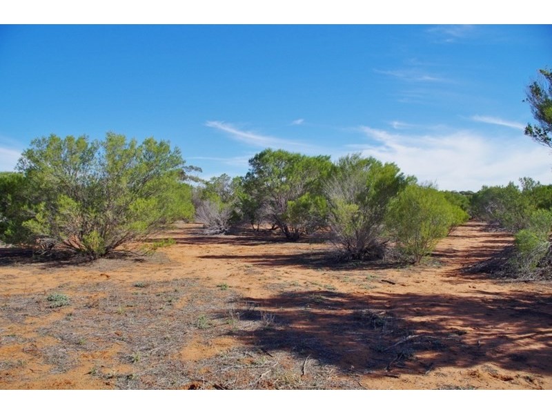 326 Katarapko Cres – Winkie, Berri SA 5343