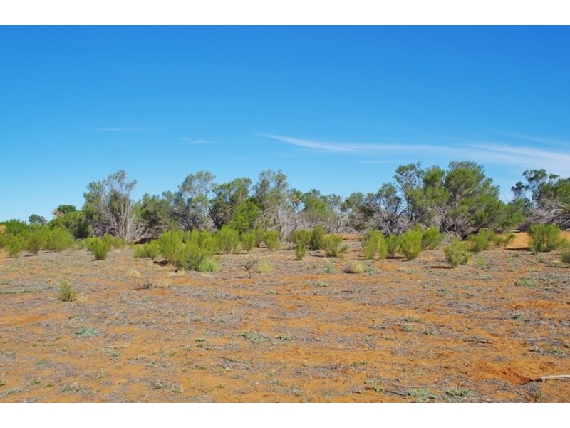 326 Katarapko Cres – Winkie, Berri SA 5343