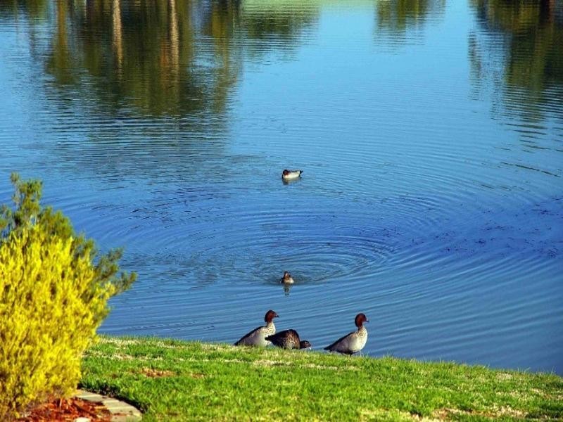 9 Lagoon Court, Renmark SA 5341