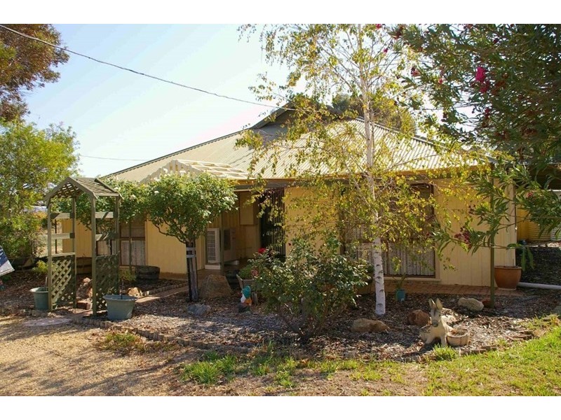 59 Wren Street, Renmark SA 5341