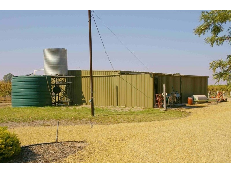 59 Wren Street, Renmark SA 5341