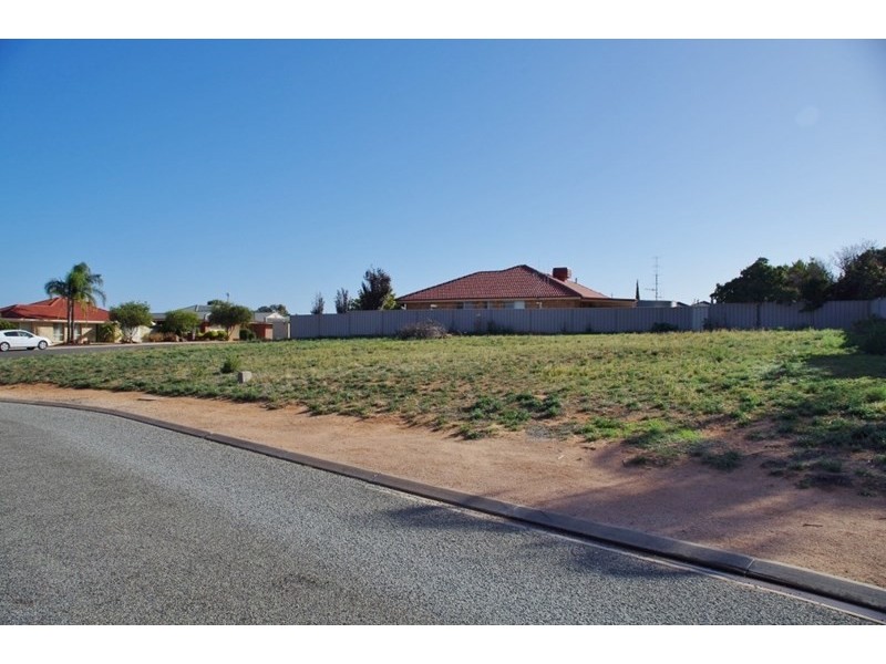 24 Ian Drive, Paringa SA 5340