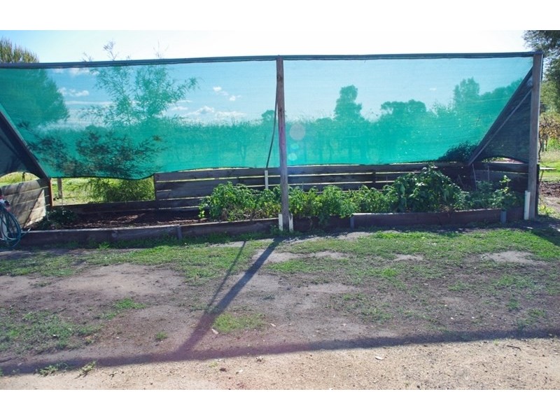 182 Twentysixth Street, Renmark SA 5341