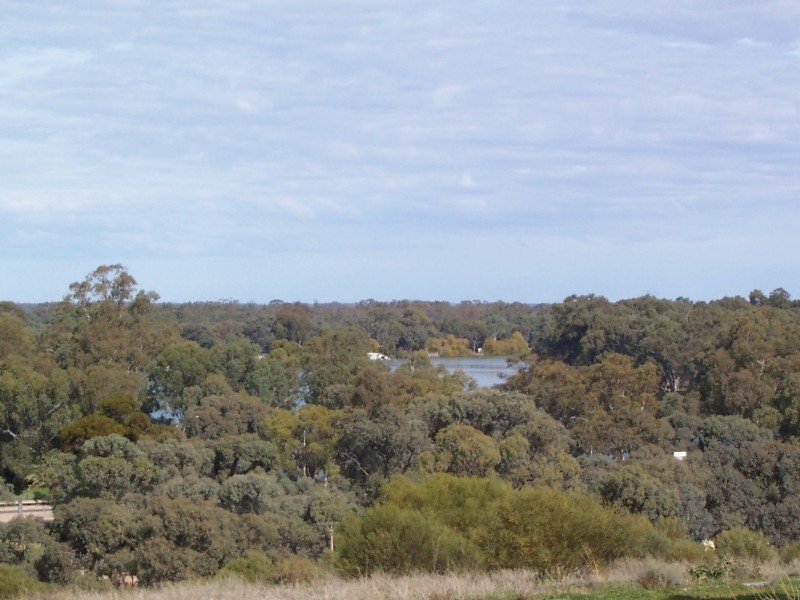 Lot/0 Panorama Court, Paringa SA 5340
