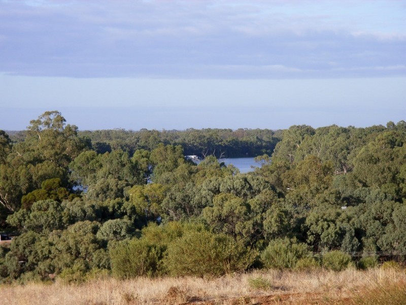Lot/0 Panorama Court, Paringa SA 5340