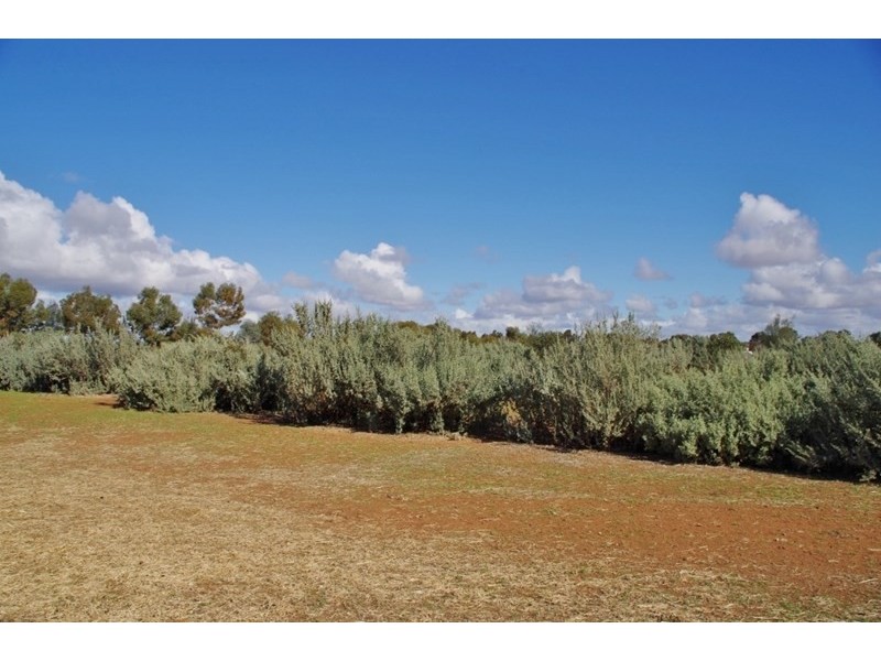 34 Kite Street, Renmark SA 5341