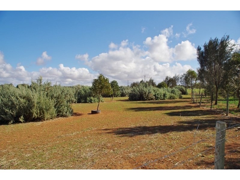 34 Kite Street, Renmark SA 5341