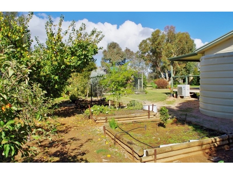 34 Kite Street, Renmark SA 5341